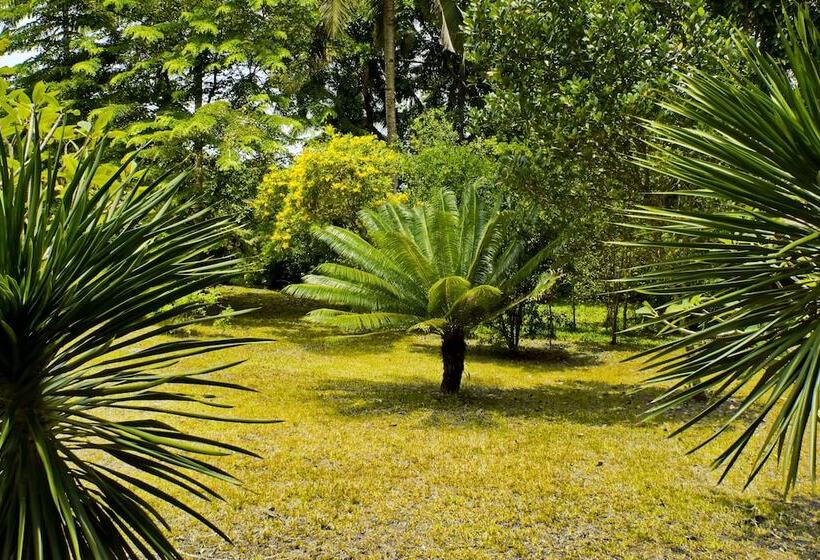 Daluyon Beach And Mountain Resort