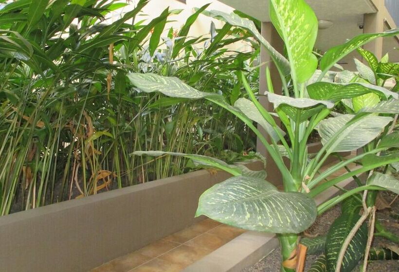 Edge Apartments Cairns