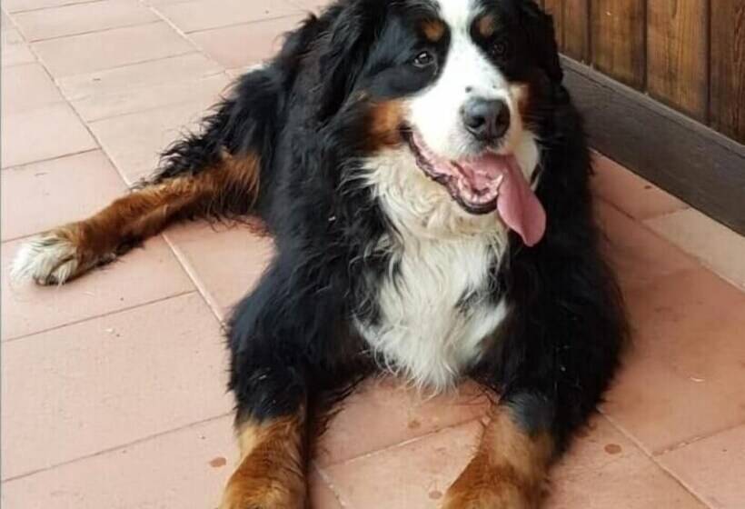 בית מלון כפרי Agriturismo San Cataldo