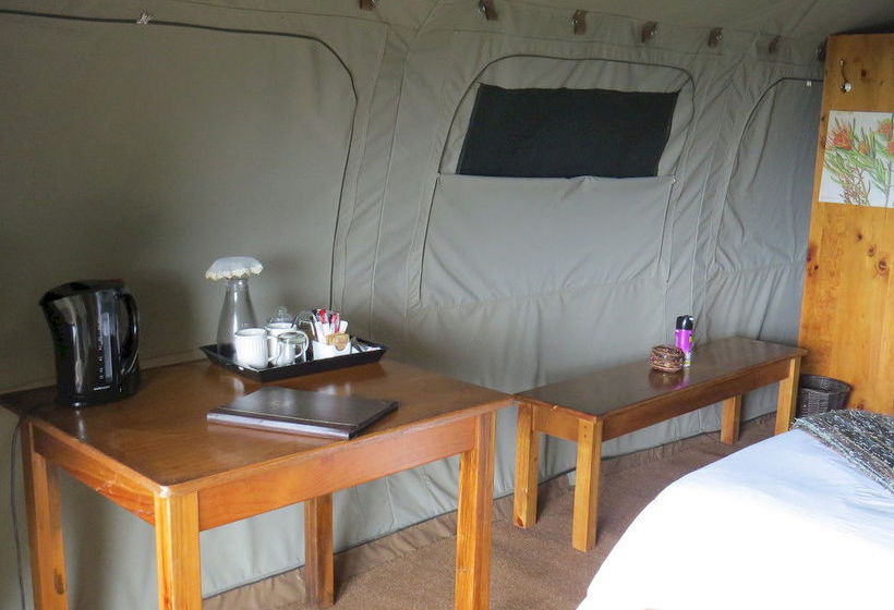 호텔 Woodbury Tented Camp – Amakhala Game Reserve