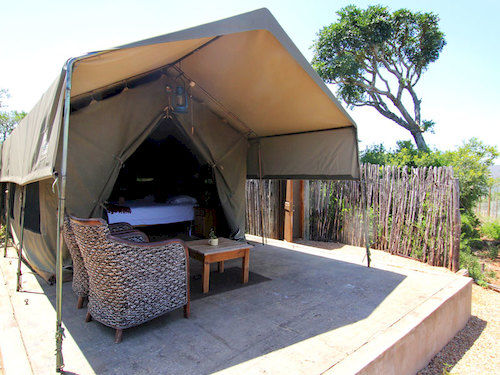 ホテル Woodbury Tented Camp – Amakhala Game Reserve