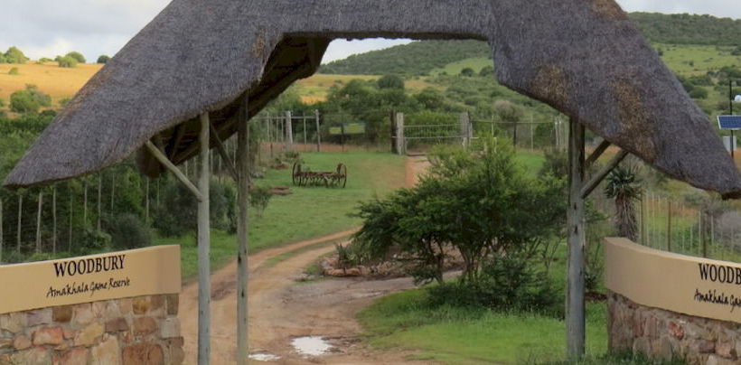 ホテル Woodbury Tented Camp – Amakhala Game Reserve