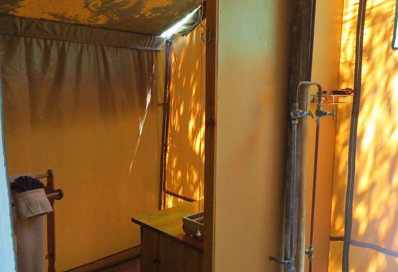 호텔 Woodbury Tented Camp – Amakhala Game Reserve