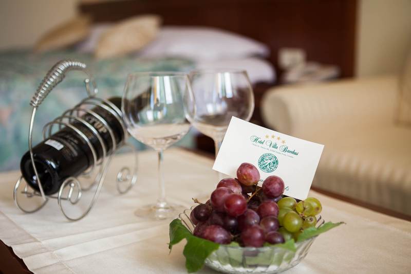 فندق Villa Bacchus