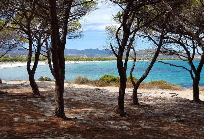 酒店 Valtur Baia Dei Pini