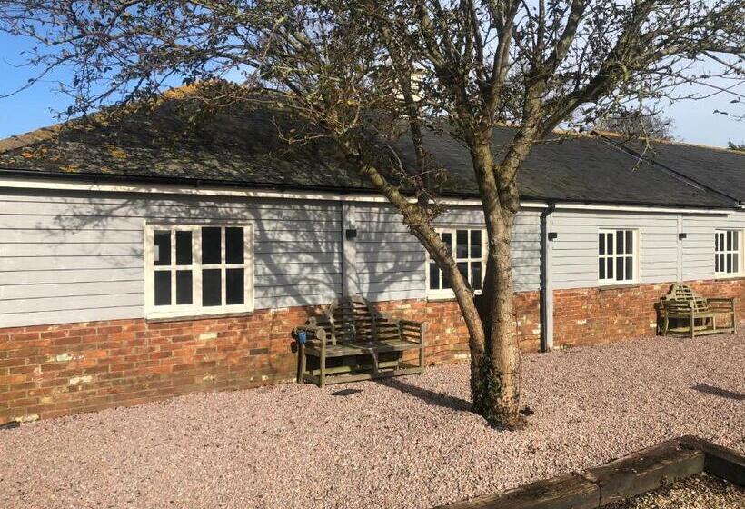 Отель Blazing Donkey Country