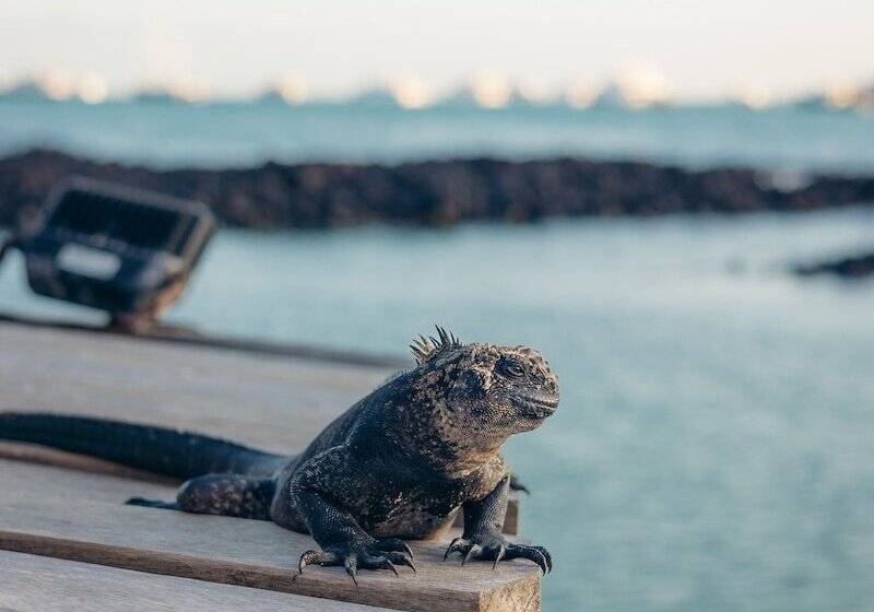 בית מלון כפרי Blu Galapagos Sustainable Waterfront Lodge