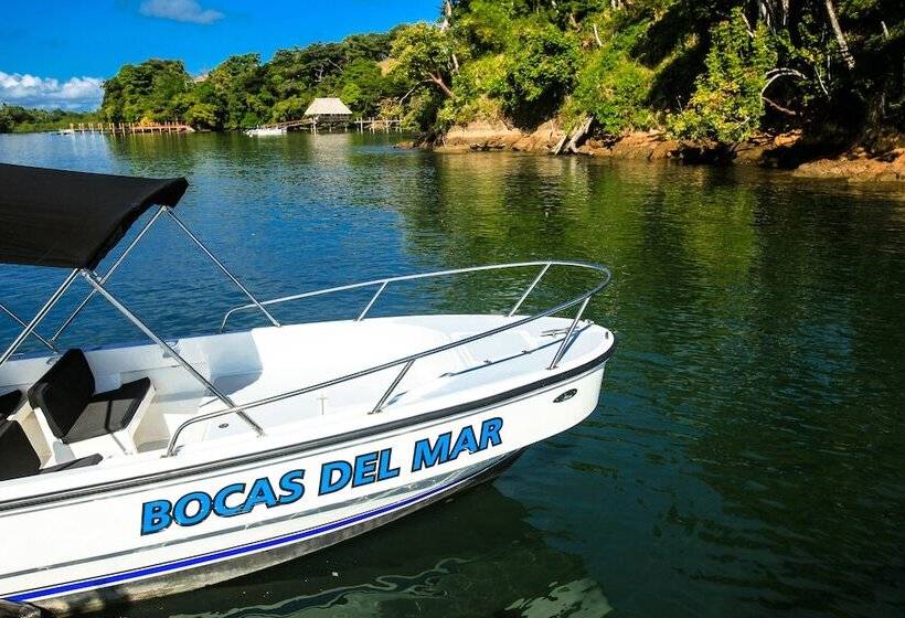 فندق Bocas Del Mar