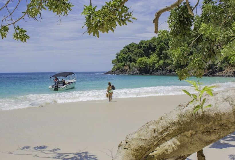 فندق Bocas Del Mar