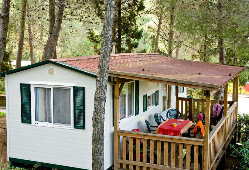 ホテル Camping Le Pianacce