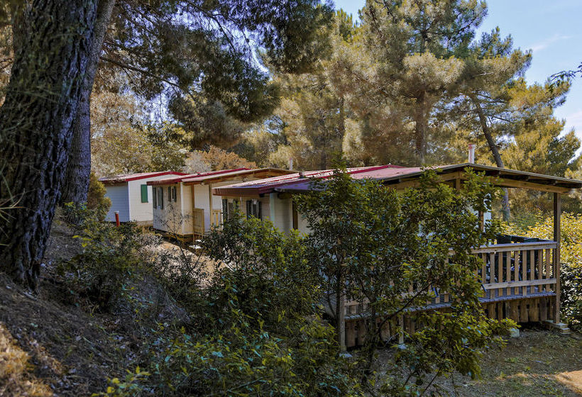 ホテル Camping Le Pianacce