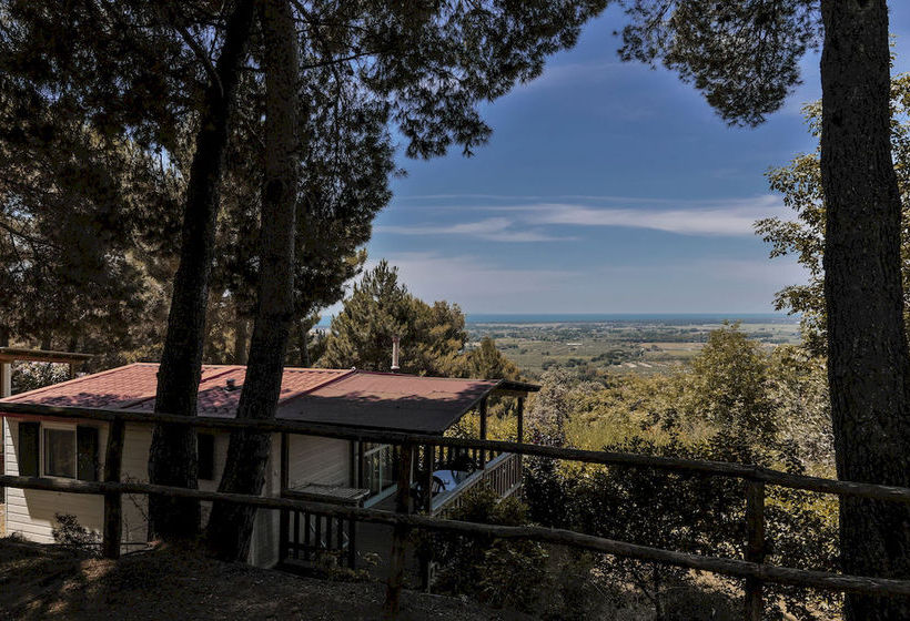 ホテル Camping Le Pianacce