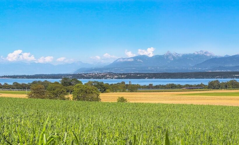 酒店 Chateau De Bossey