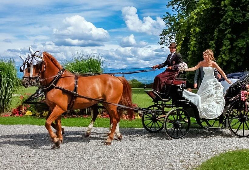 酒店 Chateau De Bossey