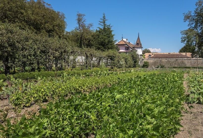 酒店 Chateau De Bossey