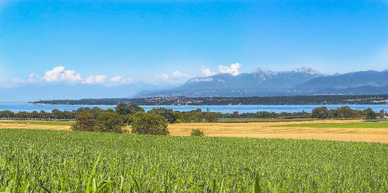 酒店 Chateau De Bossey