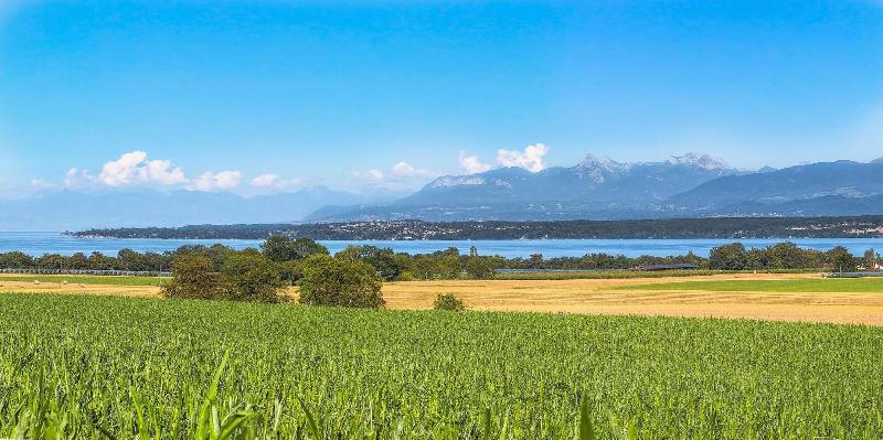 酒店 Chateau De Bossey