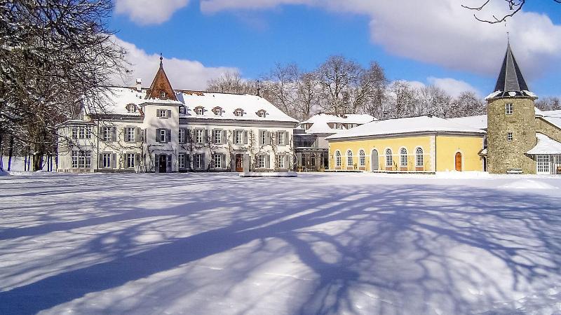 酒店 Chateau De Bossey