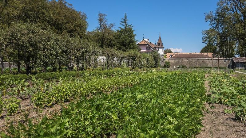 酒店 Chateau De Bossey