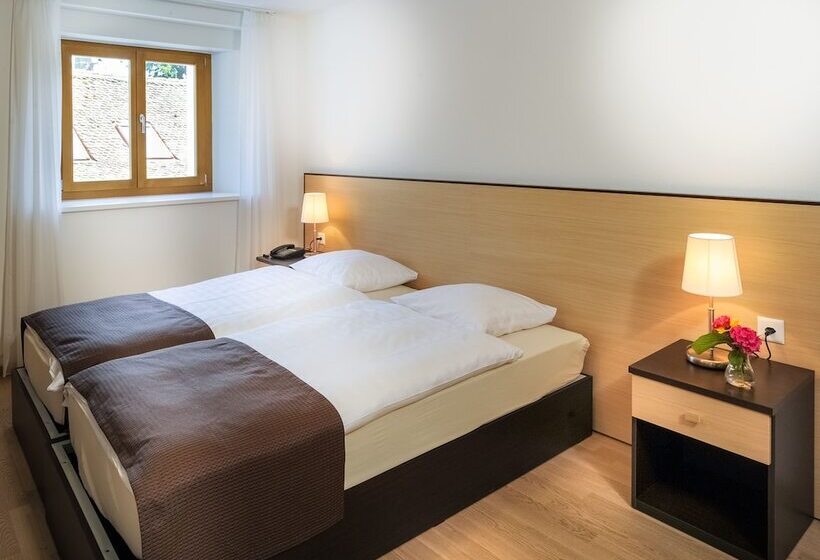 酒店 Chateau De Bossey