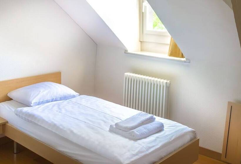 酒店 Chateau De Bossey