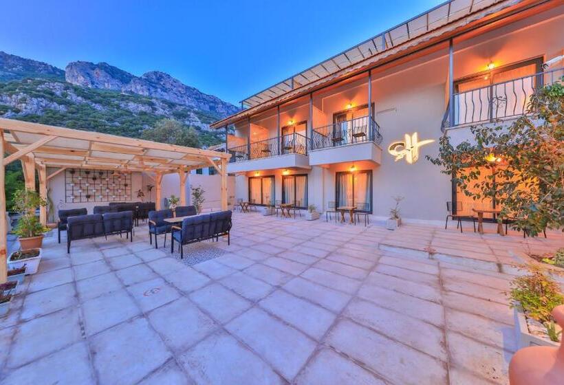 בית מלון כפרי Cinar