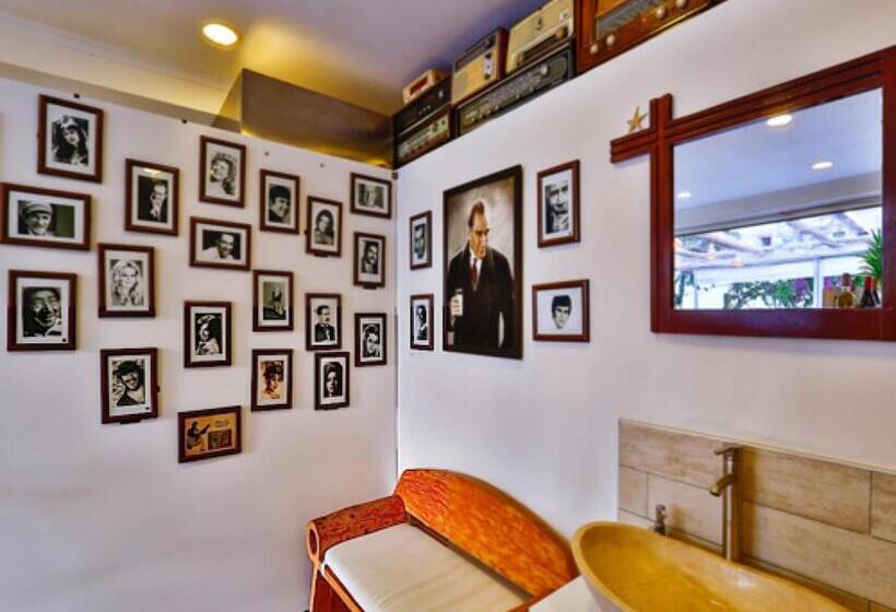 בית מלון כפרי Cinar