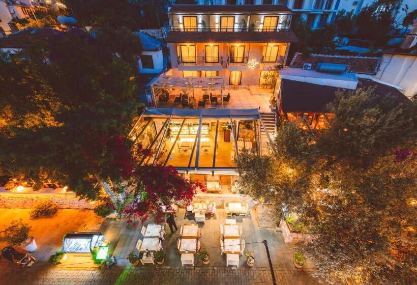 בית מלון כפרי Cinar