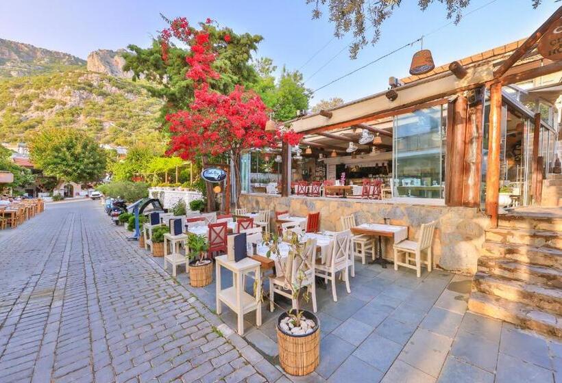 בית מלון כפרי Cinar