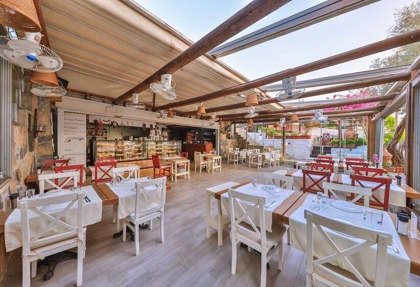 בית מלון כפרי Cinar