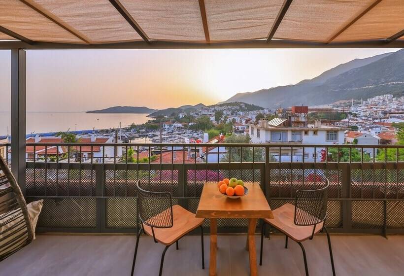 בית מלון כפרי Cinar