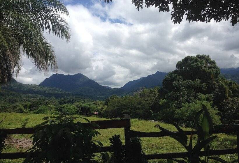 Отель Coffee Mountain Inn