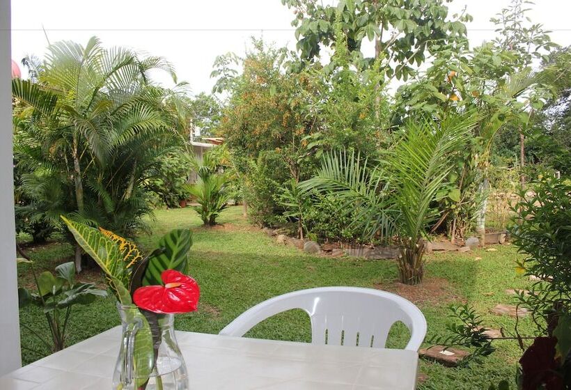 Отель Coffee Mountain Inn