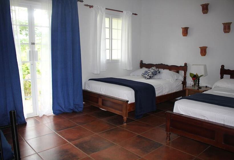 Отель Coffee Mountain Inn