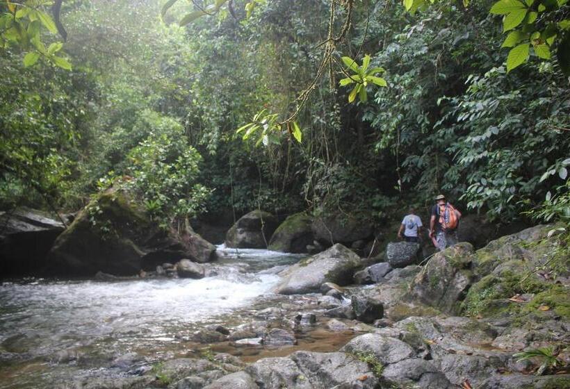 Отель Coffee Mountain Inn