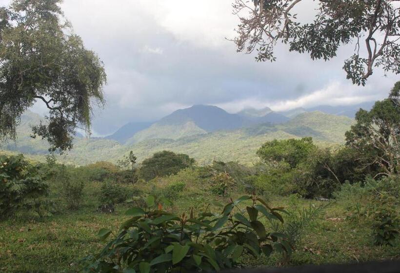 Отель Coffee Mountain Inn