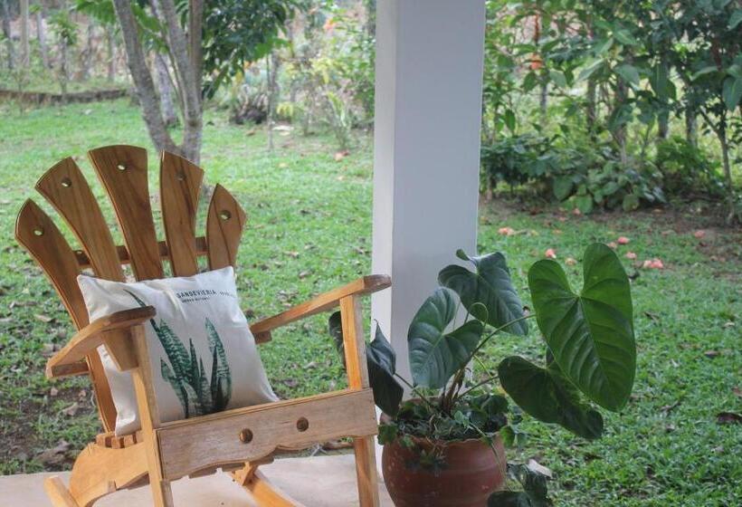 Отель Coffee Mountain Inn