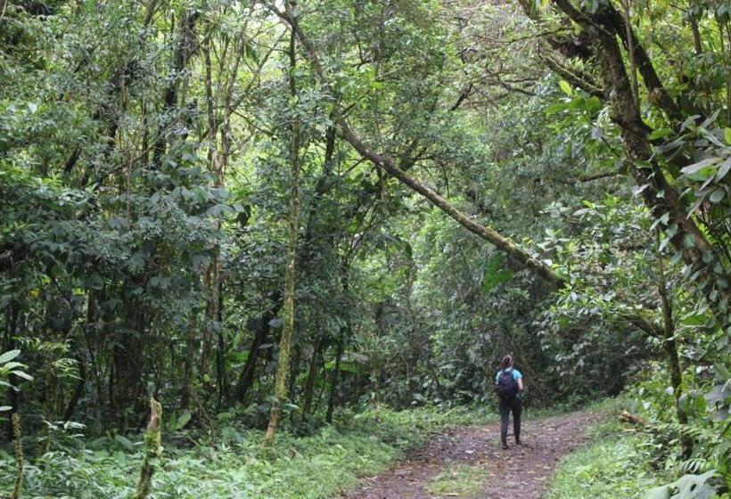 Отель Coffee Mountain Inn
