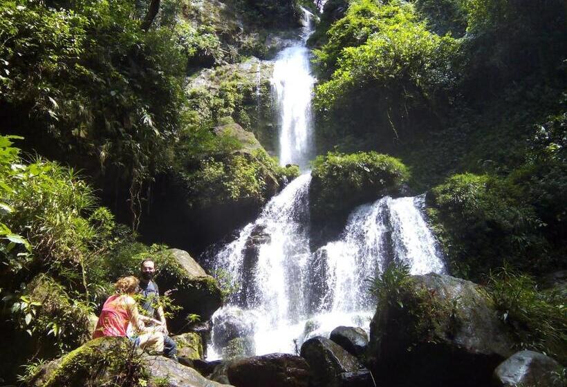 Отель Coffee Mountain Inn