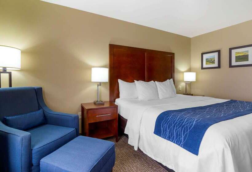 בית מלון כפרי Comfort Inn & Suites Mandan   Bismarck