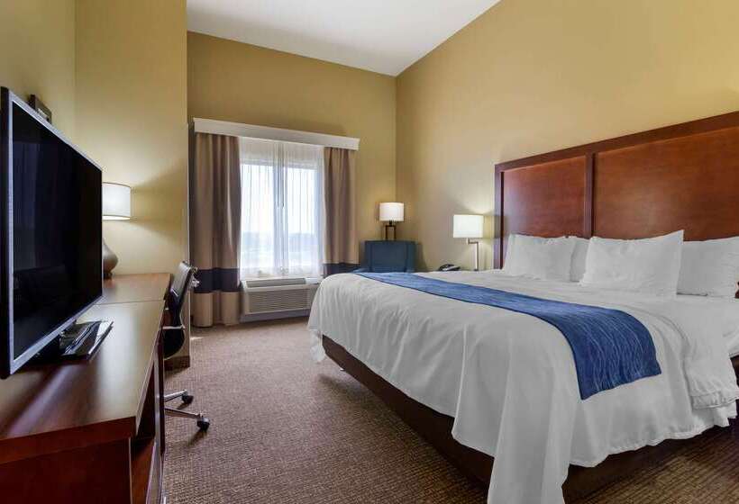 בית מלון כפרי Comfort Inn & Suites Mandan   Bismarck