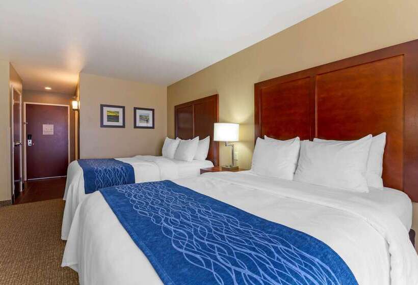 בית מלון כפרי Comfort Inn & Suites Mandan   Bismarck