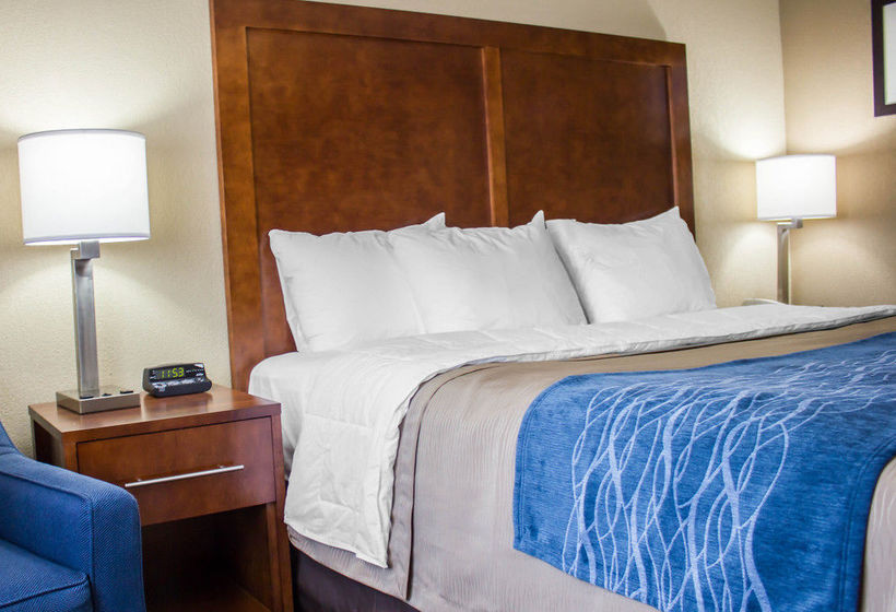 Отель Comfort Inn