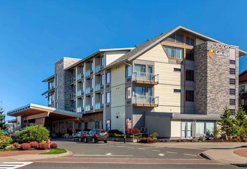 فندق Comfort Inn & Suites