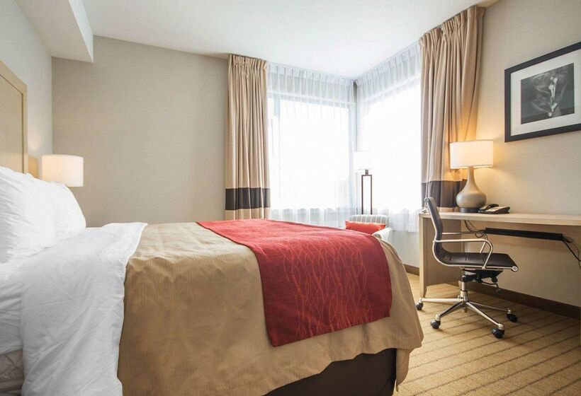 فندق Comfort Inn & Suites