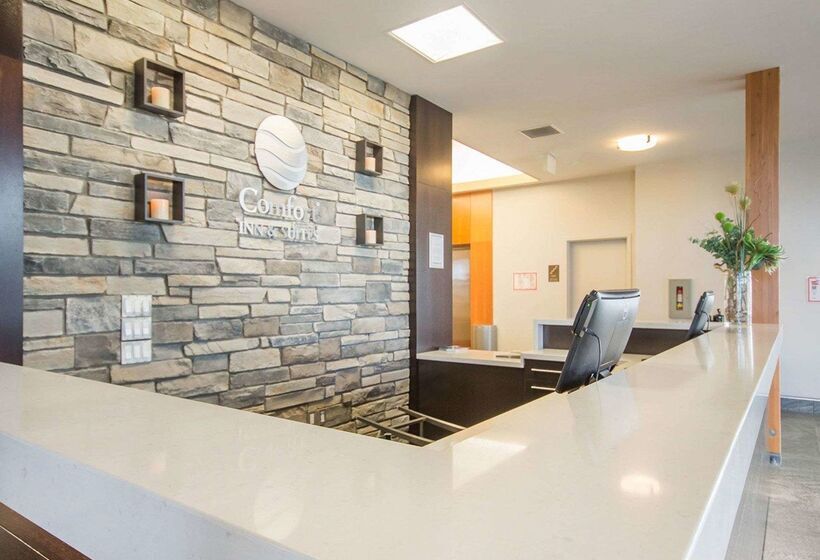 فندق Comfort Inn & Suites