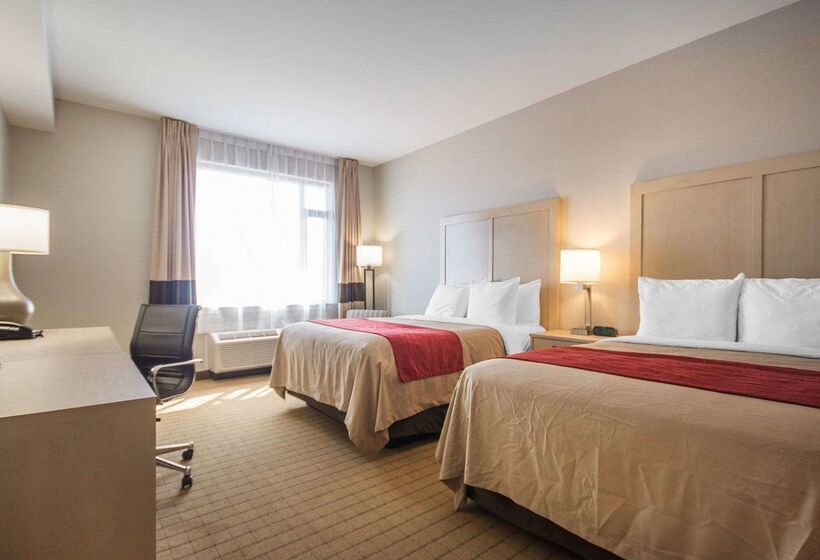 فندق Comfort Inn & Suites