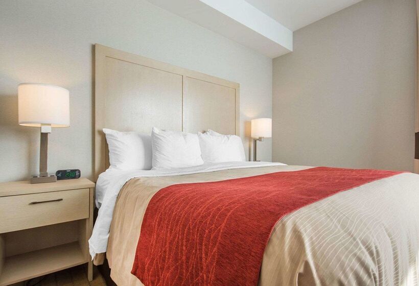 فندق Comfort Inn & Suites
