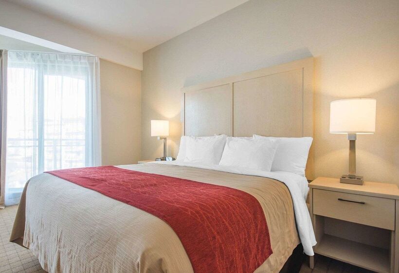 فندق Comfort Inn & Suites