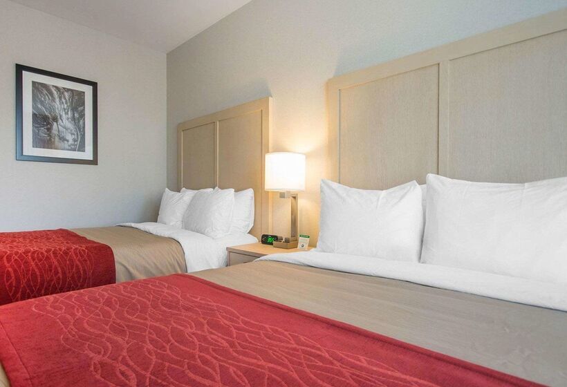 فندق Comfort Inn & Suites